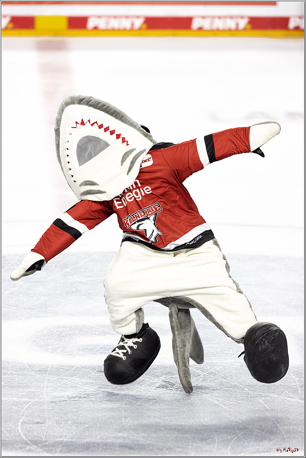 PENNY DEL;  Koelner Haie - Grizzlys Wolfsburg; Koeln, 10.09.2021